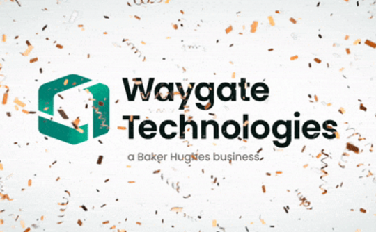 工業內窺鏡廠家Waygate Technologies介紹